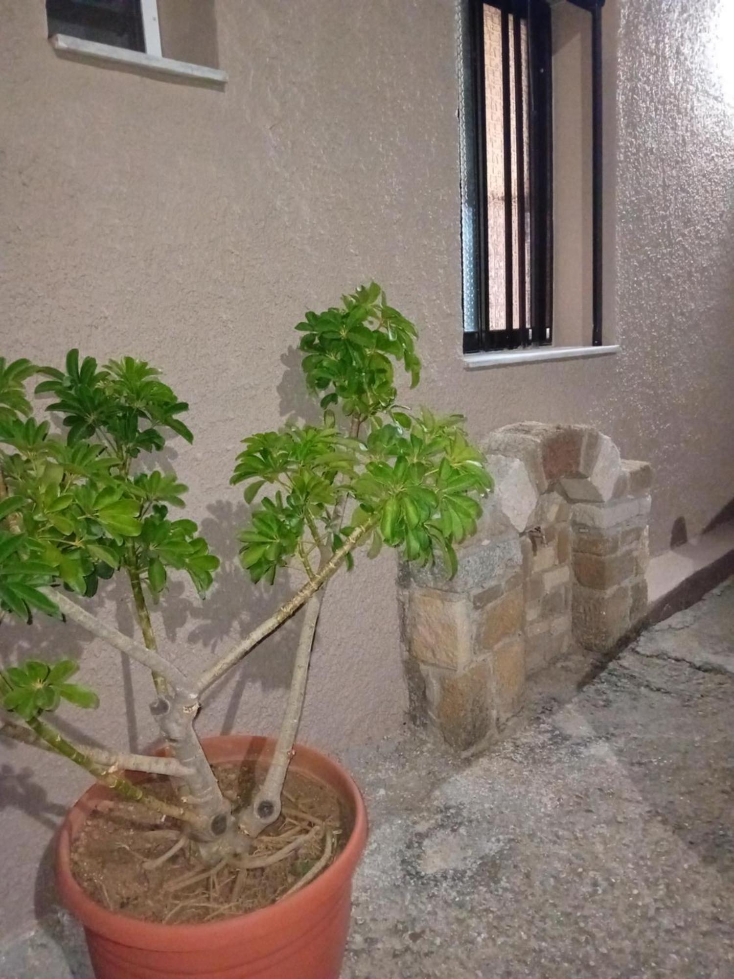 הוילה Plátanos Casa Artemis מראה חיצוני תמונה